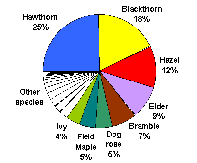 Pie chart of the relative abundance of species in the shrub layer