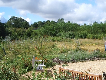 Little Meadow in July 2007