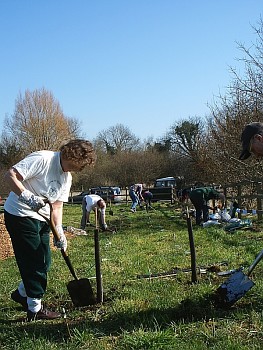 Picture of volunteers at work
