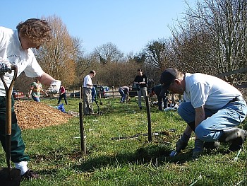 Picture of volunteers at work